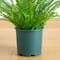 27in. UV Resistant Artificial Boston Fern Plant with Real Touch Leaves (Indoor/Outdoor)